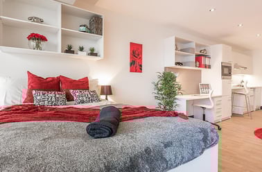 Windsor Terrace, City Centre, Southampton - Image 3